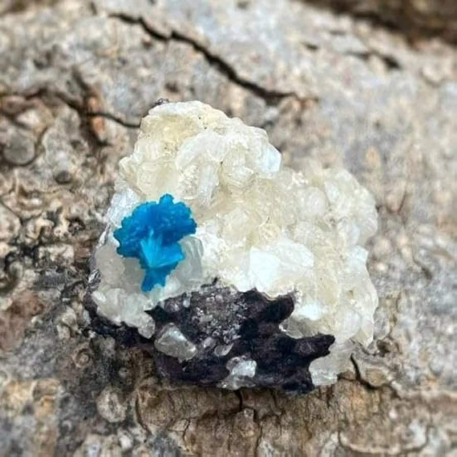 ②カバンシ石　カバンサイト　標本　原石　天然石　鉱物　鉱石　青　ブルー 原石 カバンサイト インド産 種類お任せ ランダム発送 青色